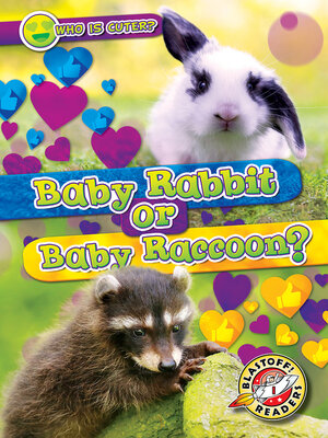 cover image of Baby Rabbit or Baby Raccoon?